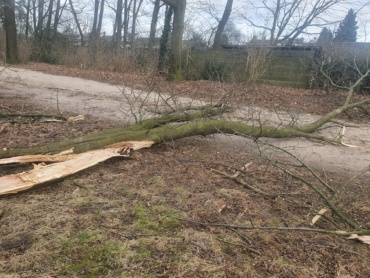 Wat storm Eunice heeft aangericht vrijdag