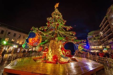 De kerstbomenjacht (radioreportage)