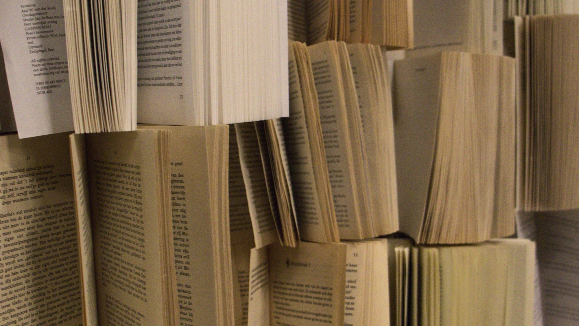 Mbo diploma opzak? Wat nu?